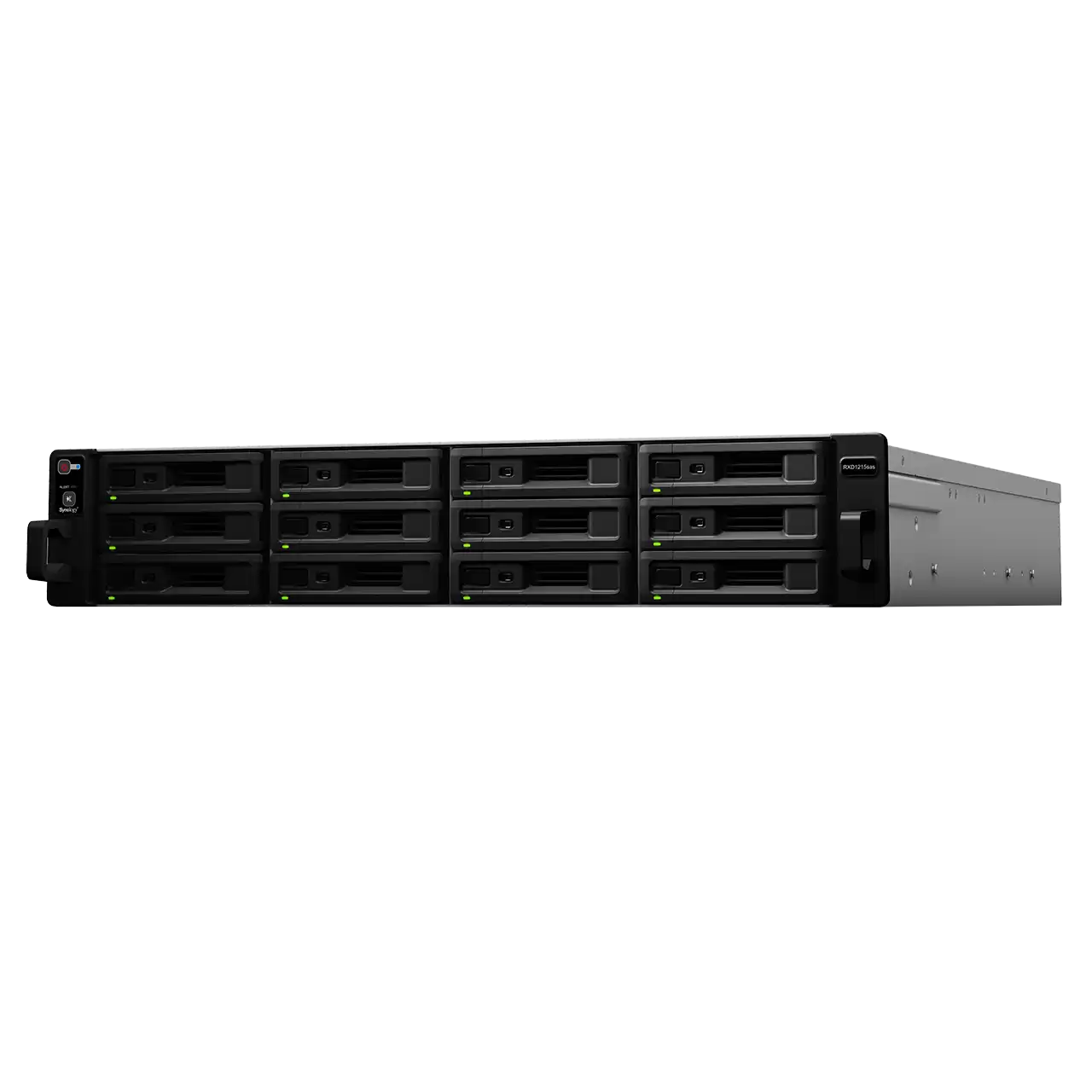 Expansion Unit RXD1215sas