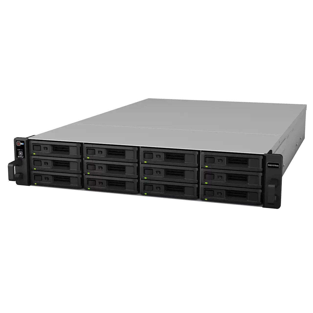 Expansion Unit RXD1215sas