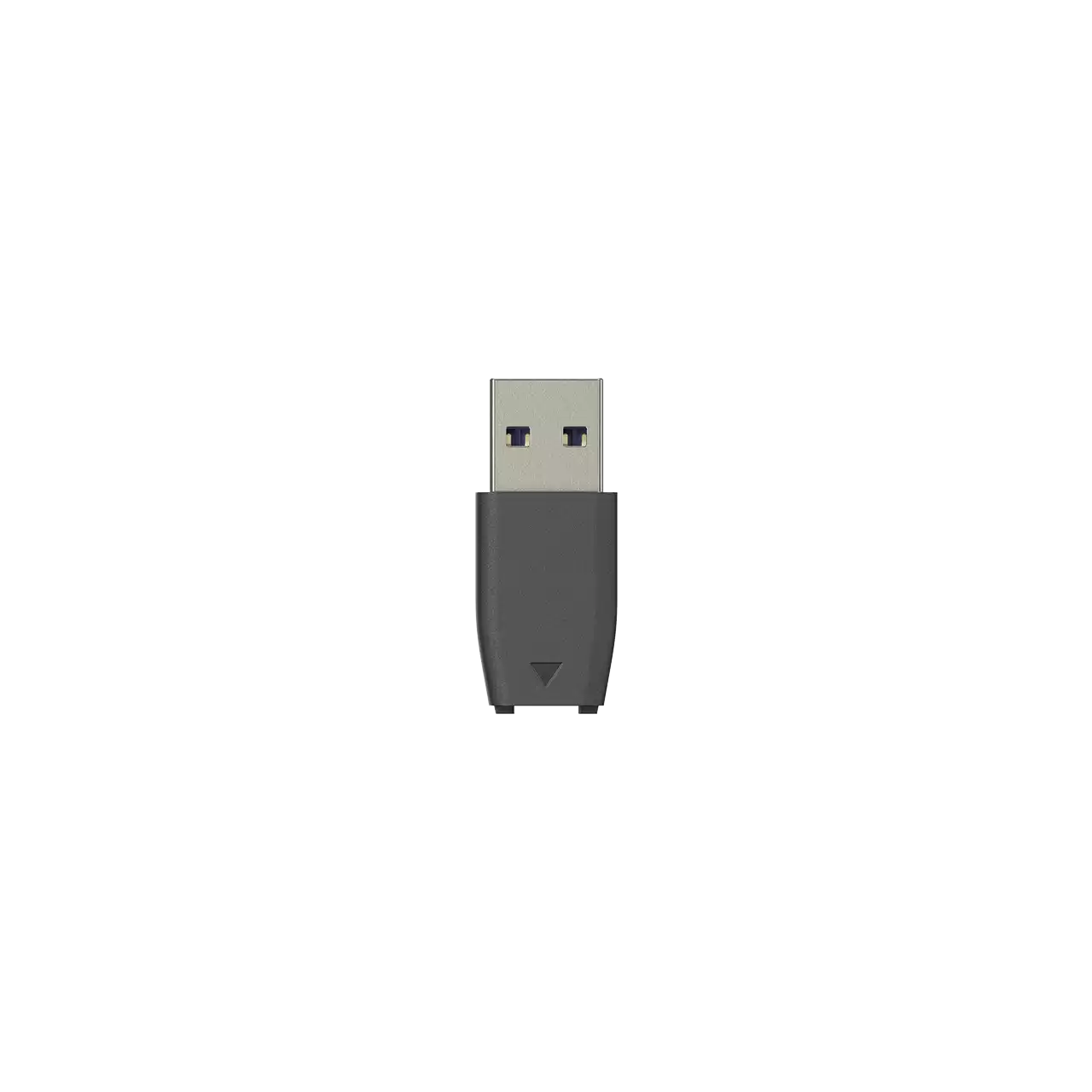 BeeDrive 2TB